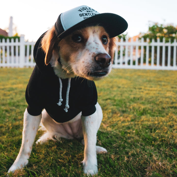 Hockey Loyalty Pet Foam Trucker - - Hats - Violent Gentlemen Hockey Lifestyle | Built by Fans for Fans | Perfect Gift for hockey fan or hockey players that live in the hockey culture