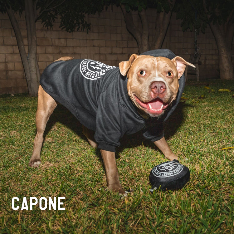 Agent Dog Pullover Hood - - Accessories - Violent Gentlemen