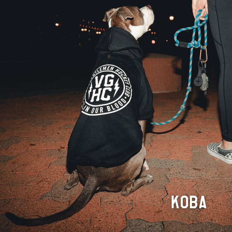 Agent Dog Pullover Hood - - Accessories - Violent Gentlemen