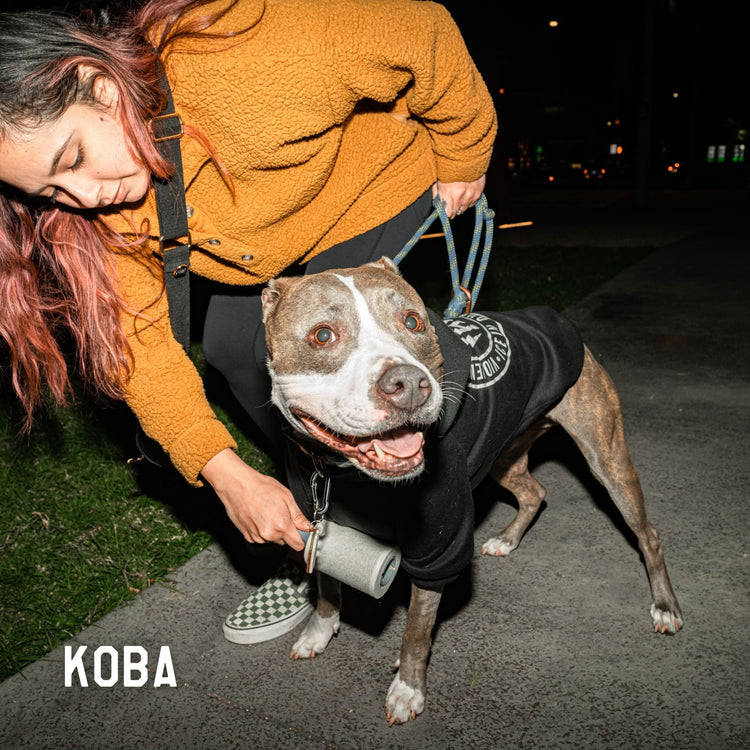Agent Dog Pullover Hood - - Accessories - Violent Gentlemen