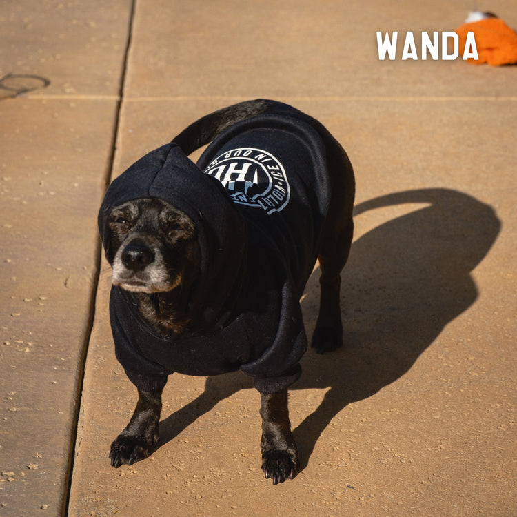 Agent Dog Pullover Hood - - Accessories - Violent Gentlemen