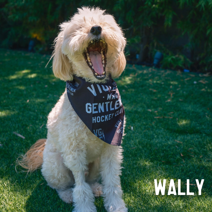 Hockey Loyalty Pet Bandana - - Accessories - Violent Gentlemen Hockey Lifestyle | Built by Fans for Fans | Perfect Gift for hockey fan or hockey players that live in the hockey culture