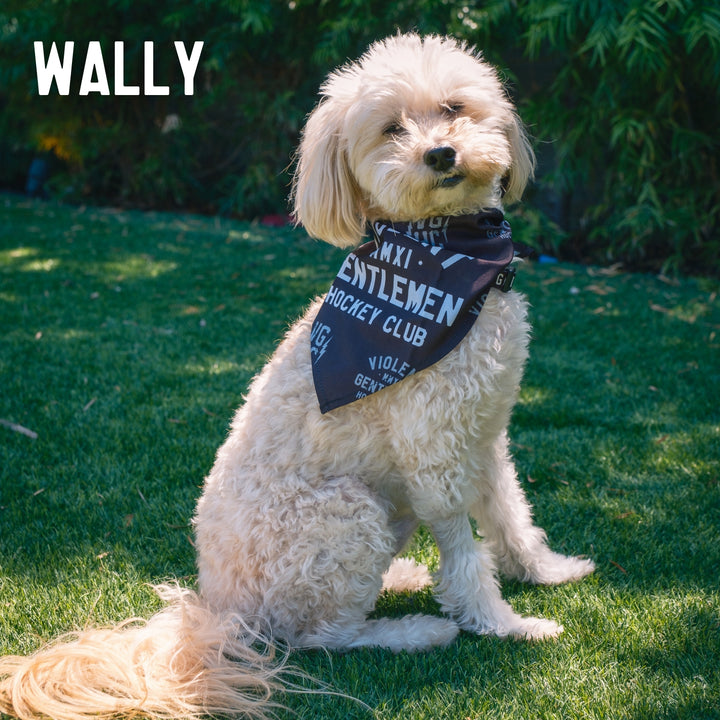 Hockey Loyalty Pet Bandana - - Accessories - Violent Gentlemen Hockey Lifestyle | Built by Fans for Fans | Perfect Gift for hockey fan or hockey players that live in the hockey culture