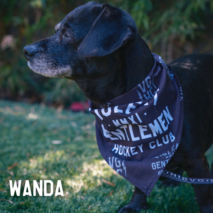 Hockey Loyalty Pet Bandana - - Accessories - Violent Gentlemen Hockey Lifestyle | Built by Fans for Fans | Perfect Gift for hockey fan or hockey players that live in the hockey culture