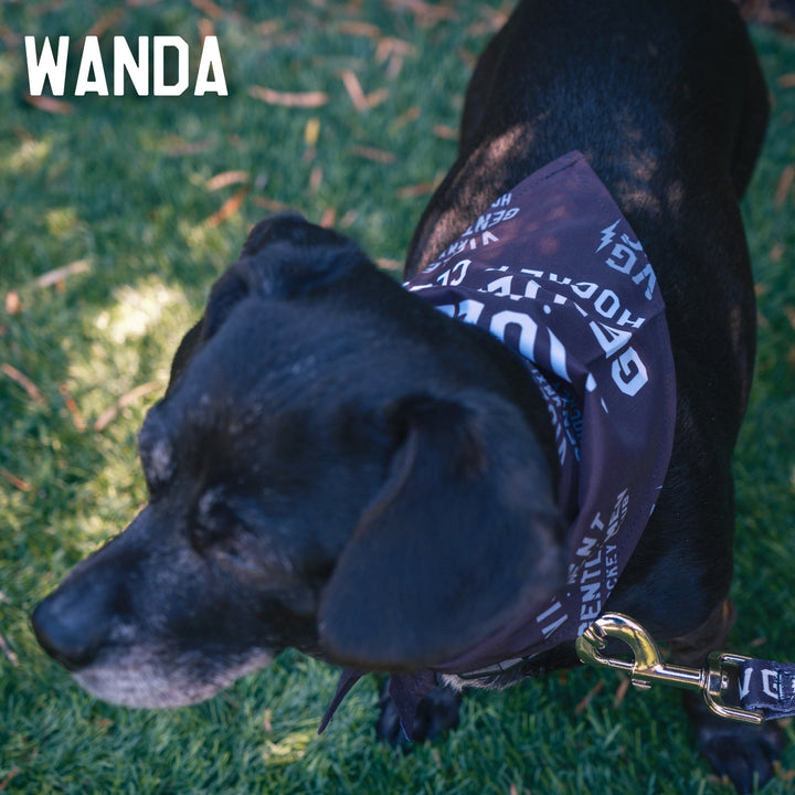Hockey Loyalty Pet Bandana - - Accessories - Violent Gentlemen Hockey Lifestyle | Built by Fans for Fans | Perfect Gift for hockey fan or hockey players that live in the hockey culture