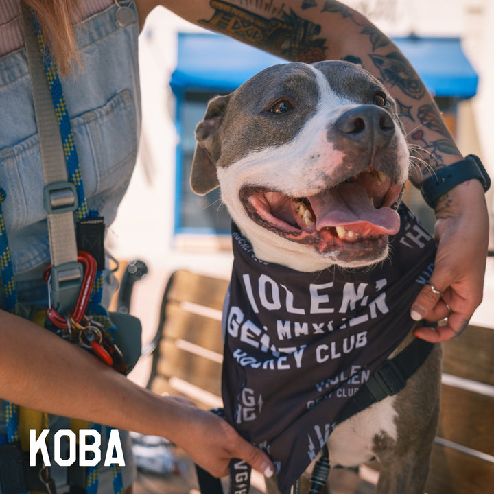 Hockey Loyalty Pet Bandana - - Accessories - Violent Gentlemen Hockey Lifestyle | Built by Fans for Fans | Perfect Gift for hockey fan or hockey players that live in the hockey culture