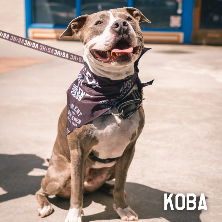 Hockey Loyalty Pet Bandana - - Accessories - Violent Gentlemen Hockey Lifestyle | Built by Fans for Fans | Perfect Gift for hockey fan or hockey players that live in the hockey culture