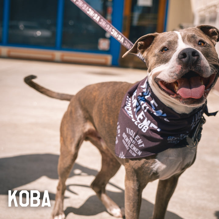 Hockey Loyalty Pet Bandana - - Accessories - Violent Gentlemen Hockey Lifestyle | Built by Fans for Fans | Perfect Gift for hockey fan or hockey players that live in the hockey culture