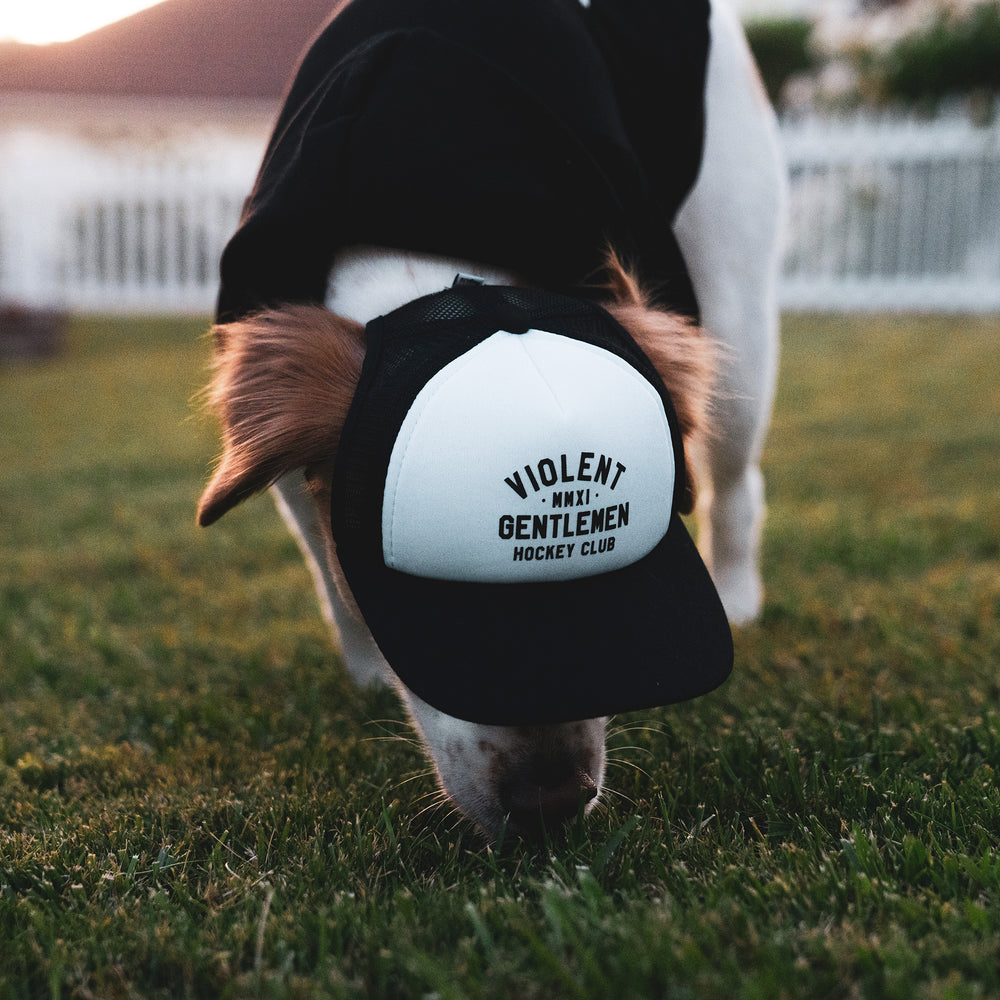 Loyalty Pet Foam Trucker -  - Hats - Violent Gentlemen