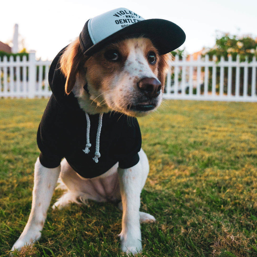 Loyalty Pet Foam Trucker -  - Hats - Violent Gentlemen