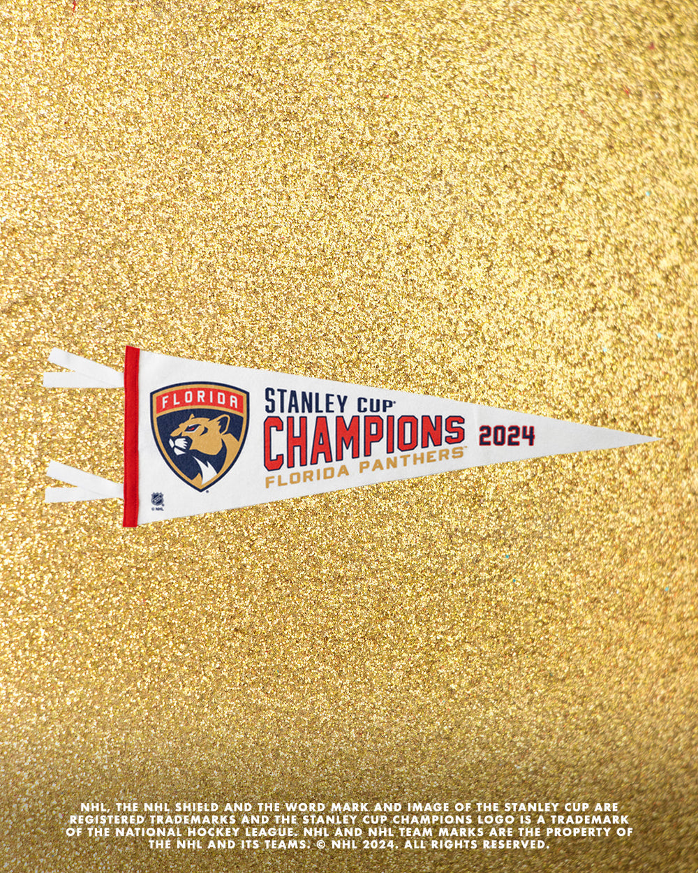 Florida Panthers Stanley Cup Champions Pennant • NHL x Oxford Pennant - - Pennant - Oxford Pennant