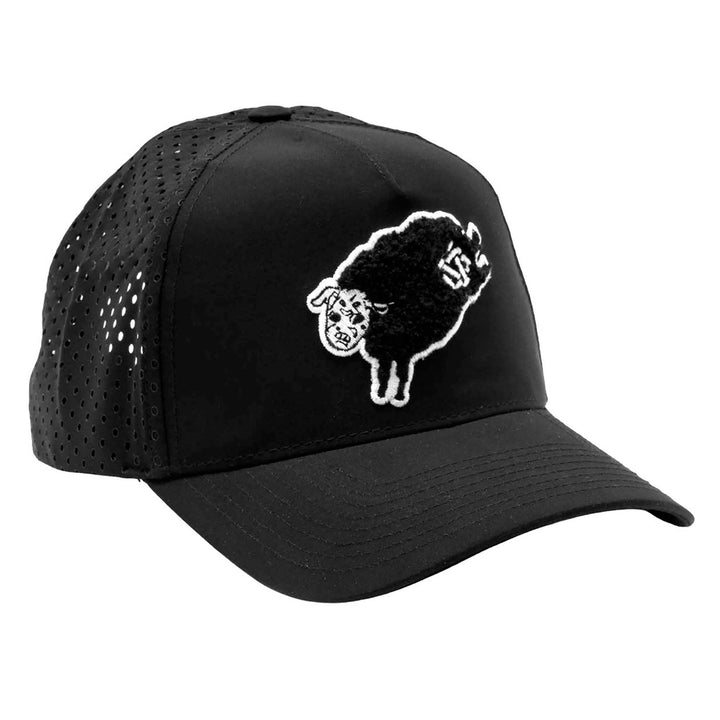 Salad Days A-Frame Tech Snapback