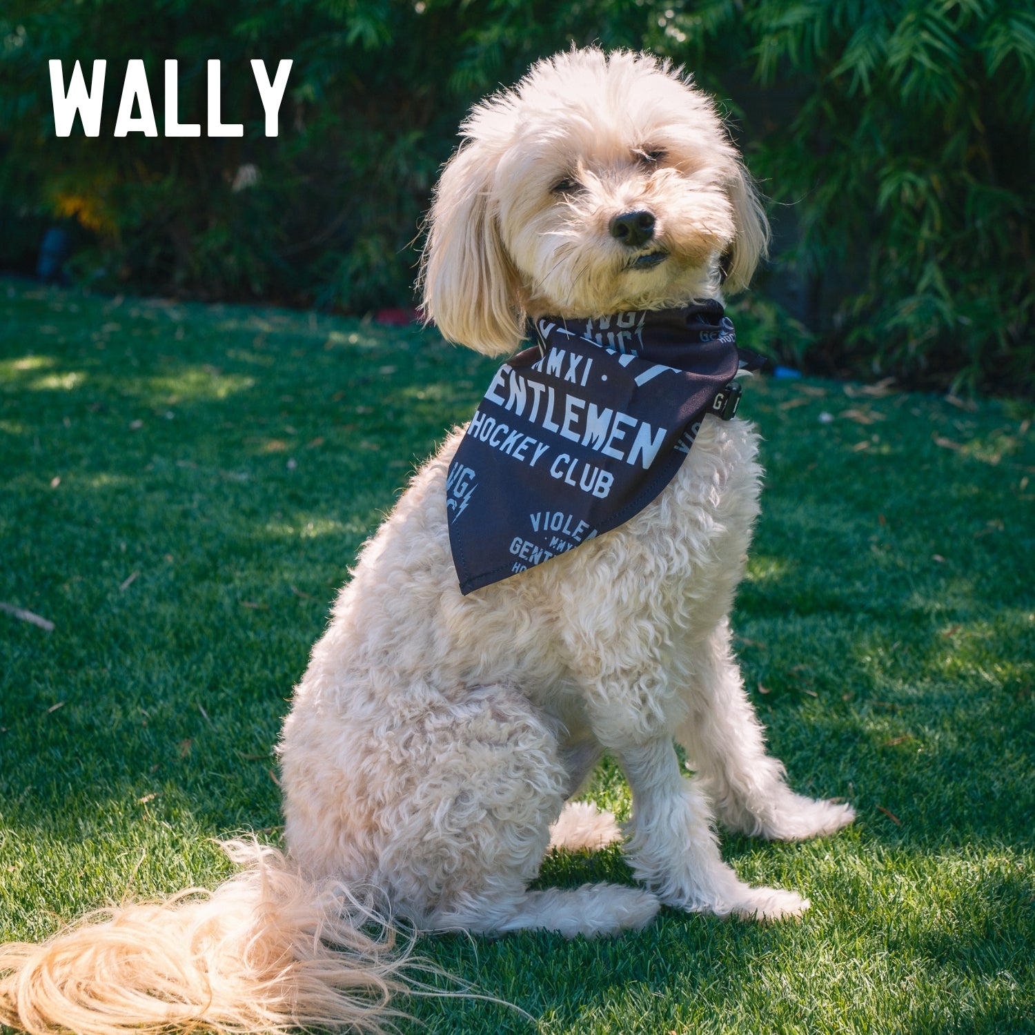 Loyalty Pet Bandana Violent Gentlemen