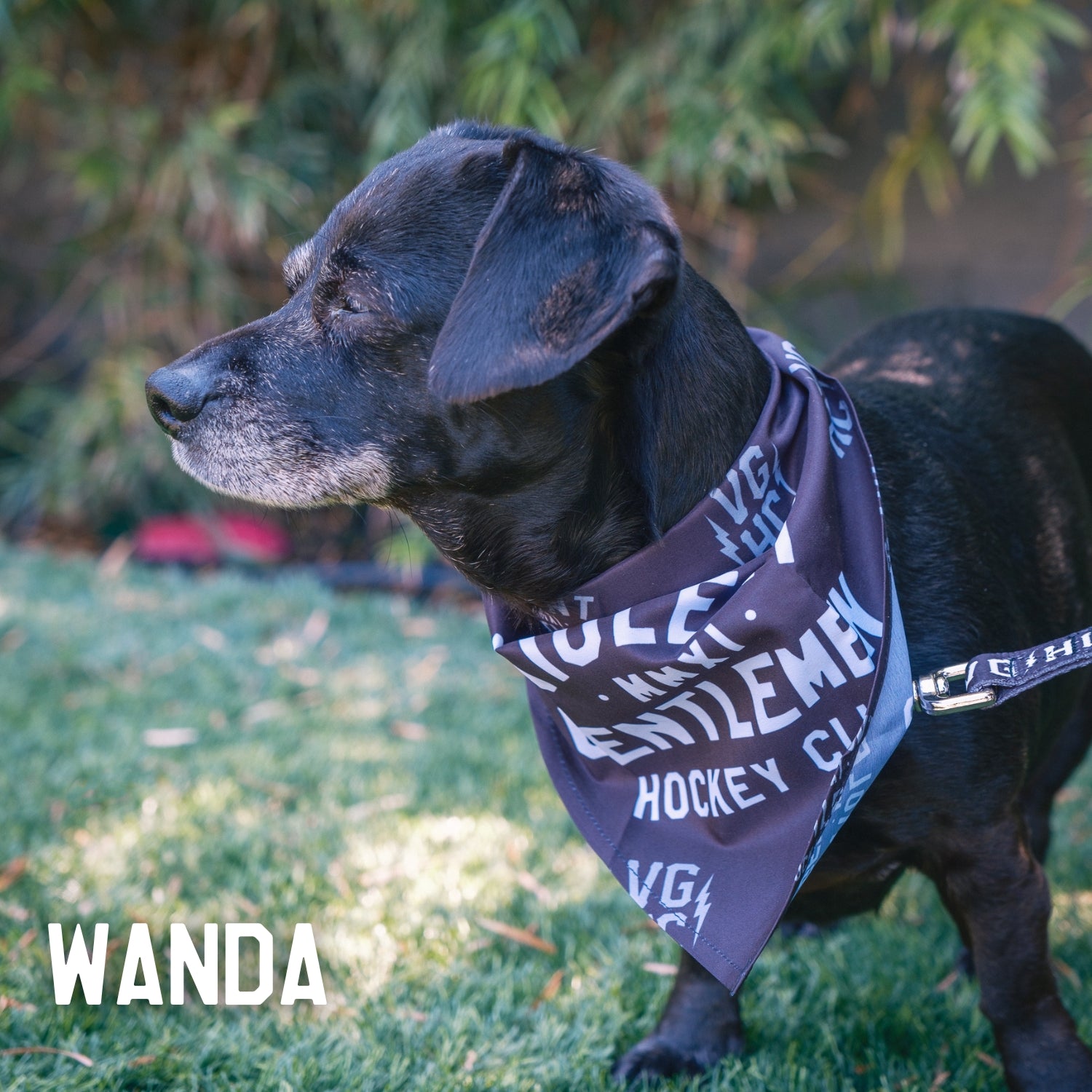 Loyalty Pet Bandana Violent Gentlemen