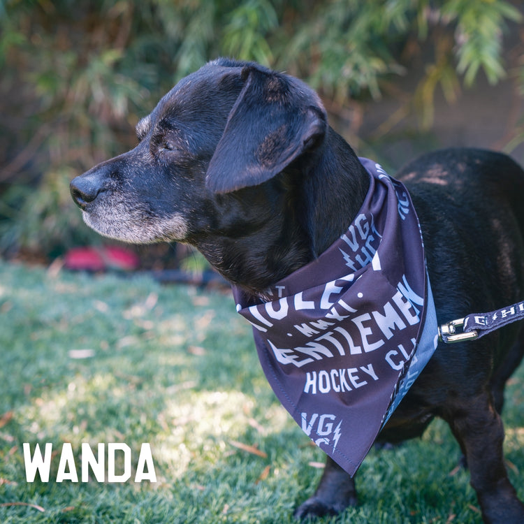 Loyalty Pet Bandana -  - Accessories - Violent Gentlemen