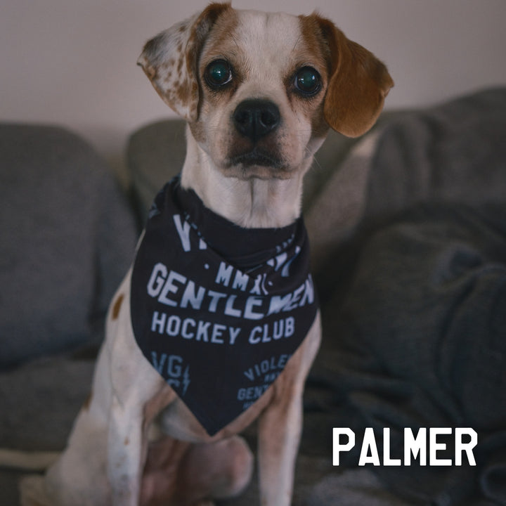 Bolt Club Pet Collar -  - Accessories - Violent Gentlemen