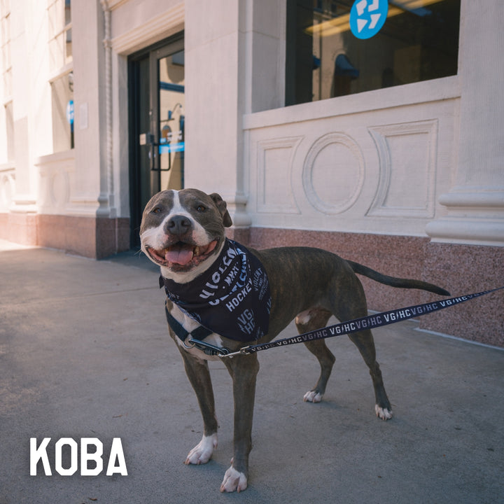 Bolt Club Pet Collar -  - Accessories - Violent Gentlemen