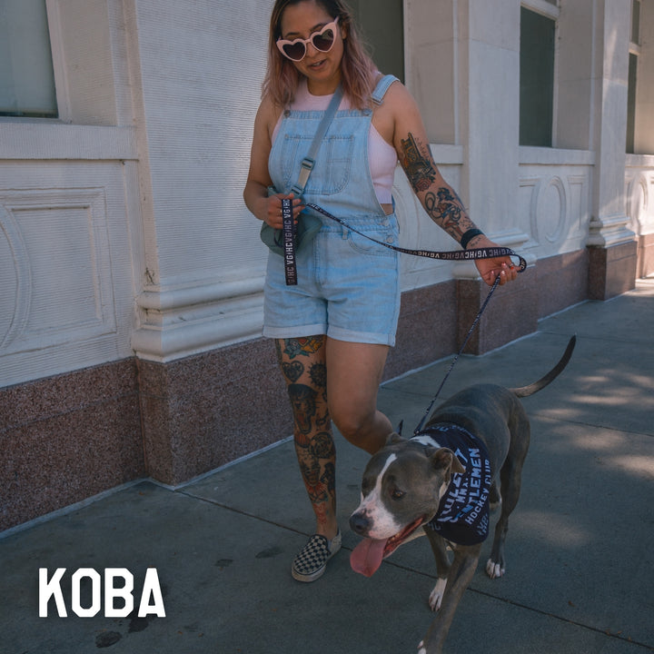Bolt Club Pet Collar -  - Accessories - Violent Gentlemen